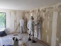 Best Emergency Mold Remediation  in Fairmont City, IL